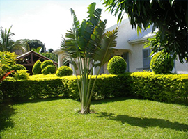 Appartement a louer la reunion